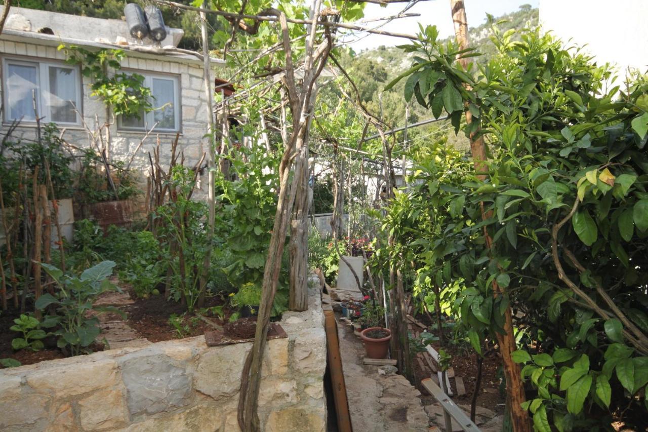 Seaside Secluded Apartments Cove Smokvina, Hvar - 4036 Bogomolje ภายนอก รูปภาพ