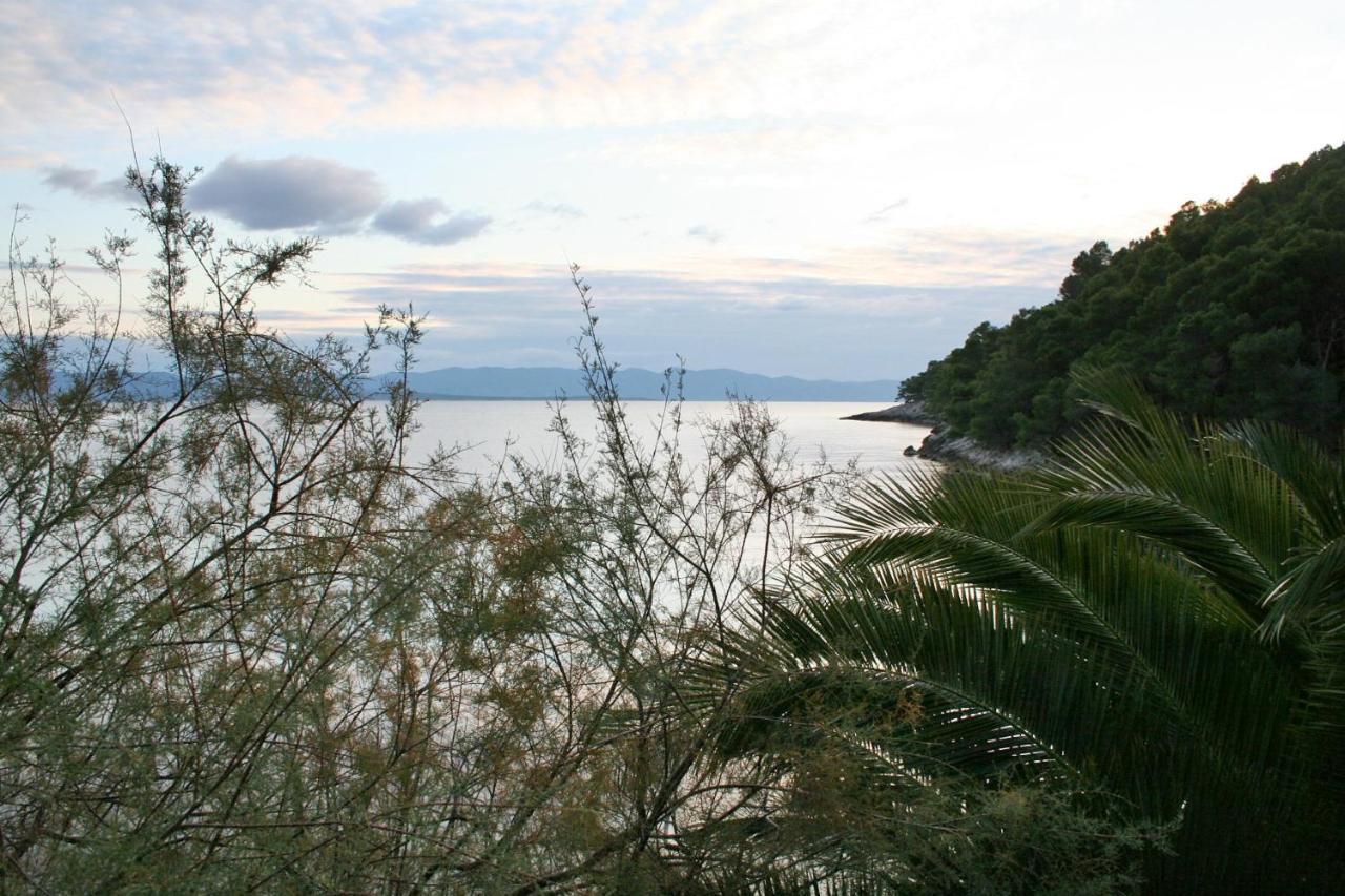 Seaside Secluded Apartments Cove Smokvina, Hvar - 4036 Bogomolje ภายนอก รูปภาพ